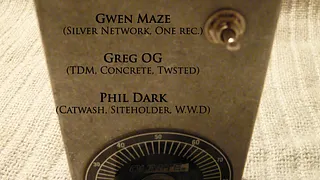 Gwen Maze