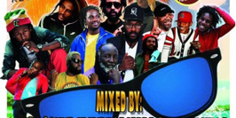 Reggae sur seine + la nuit du reggae dancehall 9