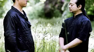 Wang Li & Wu Wei en concert