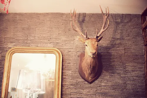 La Chasse Gardée Restaurant Bar Paris
