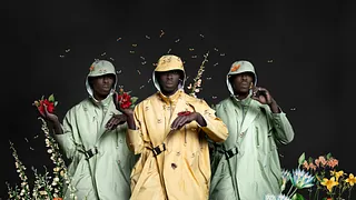 OMAR VICTOR DIOP