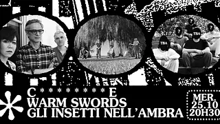✺ WARM SWORDS ✺ GLI INSETTI NELL’AMBRA ✺