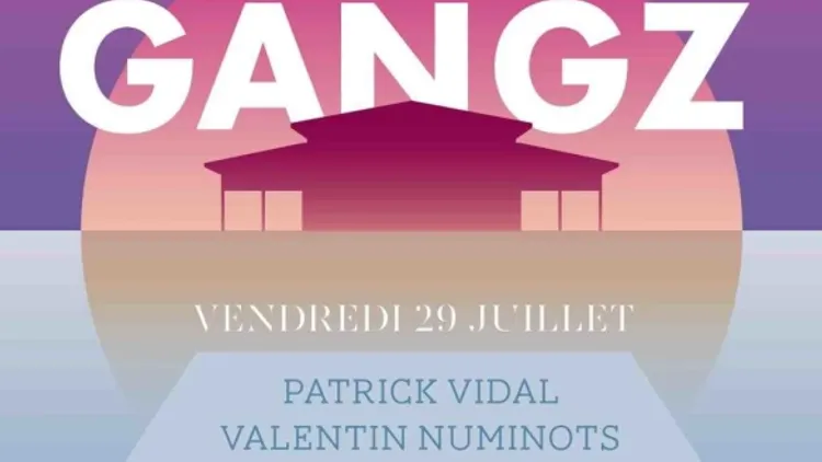 Summer of Gangz
