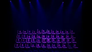 Murmuration Level 2