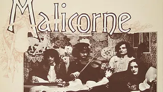 Malicorne