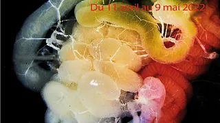 IMAGES DES SCIENCES