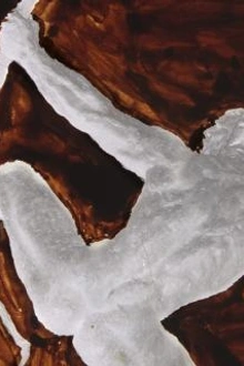 Bourdelle et l'antique, une passion moderne
