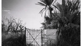 Vernissage de l'exposition "Behind and Beyond" de Ana Bloom