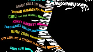 Sylvain Luc & Stefano di Battista - Festival Jazz à la Villette