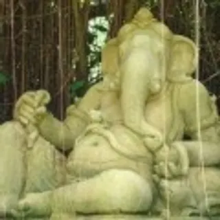 Nicolas N