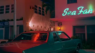 Exposition "Panorama" - Joel Meyerowitz