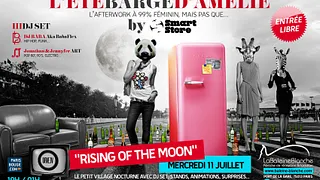 L'été Barge d'Amélie