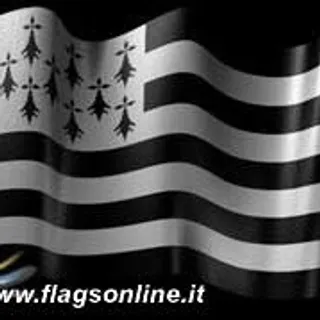 Mickael S