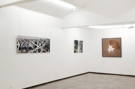La Galerie Pascal Vanhoecke