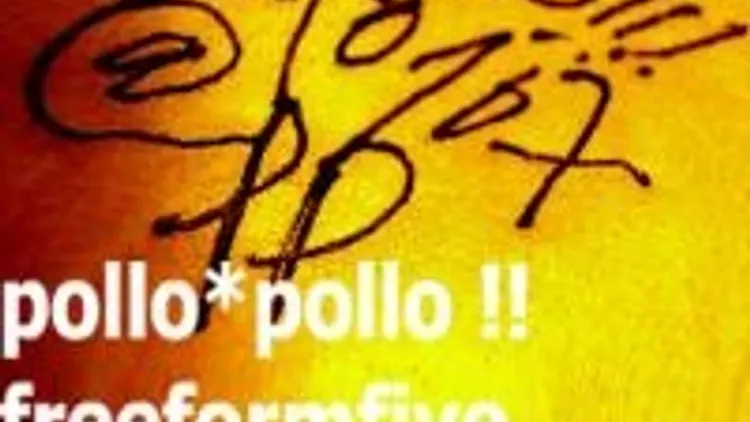 Pollo*pollo