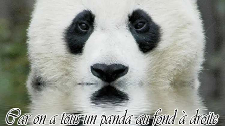 Au fond à droite