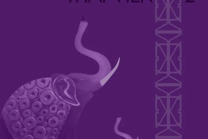 Thai Vien 2
