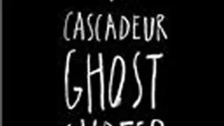 Cascadeur + 1ère partie