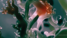 Science/Fiction — Une non-histoire des Plantes