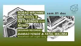 Concrete: Robag Wruhme, Mr Raoul K, Metaboman Live, Moms