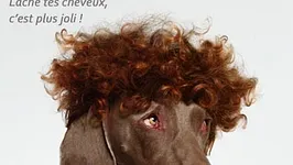 Haircut stratagem