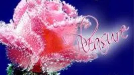 Pleasure