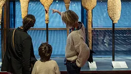 Exposition permanente - Le plateau des Collections