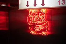 Mao Fry