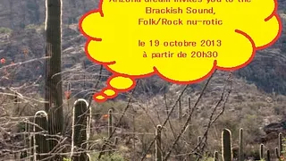 Brackish Sound