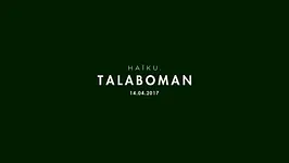 H A ï K U avec Talaboman (John Talabot x Axel Boman)