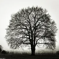 Exposition "Perchée & Corsée" - Ode aux saisons d'automne & d'hiver