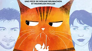 Chat Perdu