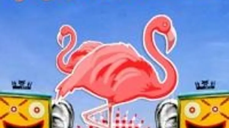Sou Flamengo