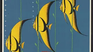 Apéro sous les tropiques