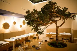 La Maison du Saké