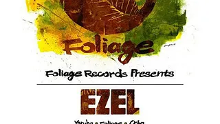 Foliage Records Night