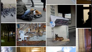 Exposition Prises de Rues