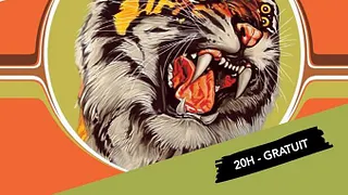 Les Tigres du Futur • Moonrite • Casio Judiciaire / Supersonic