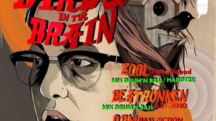 Birds in the Brain