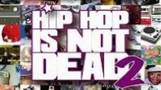The Hip-Hop Is Not Dead 2