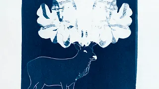 Atelier de pratique en famille – Du portrait au cyanotype avec Elisabeth Schneider