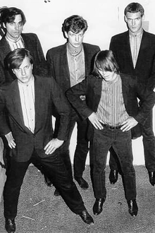 The Fleshtones en concerts