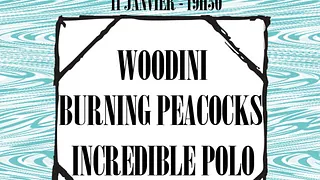 Day One : Woodini + Burning Peacocks + Incredible Polo