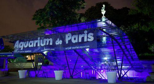 L'Aquarium Club Club Paris
