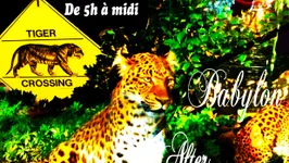 After Sunday Time Jungle