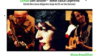 PINGO DE CHORO 4tet -  Soirée Brésil