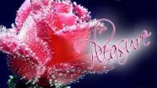 Pleasure