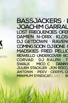 Elektric Park 2017