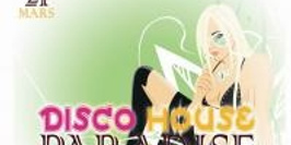 Disco House Paradise