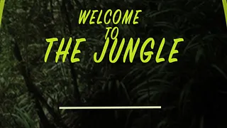 Welcome To The Jungle X Dj Maf